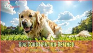 dog constipation defined