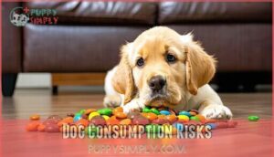 dog consumption risks