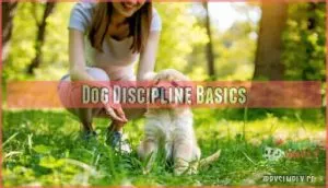 dog discipline basics