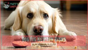 dog fig newton risks
