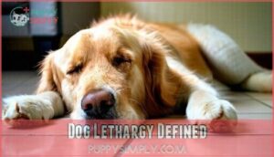 dog lethargy defined