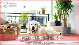 dog-proofing the home