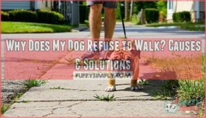dog refuses to walk