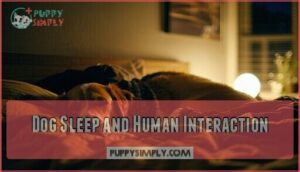 dog sleep and human interaction