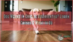 dog walks in circles disoriented