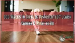 dog walks in circles disoriented