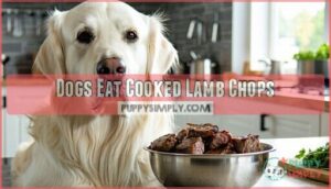 dogs eat cooked lamb chops