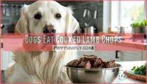 dogs eat cooked lamb chops