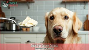 dogs eat cream cheese