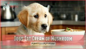 dogs eat cream of mushroom