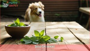 dried spearmint