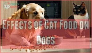 effects of cat food on dogs