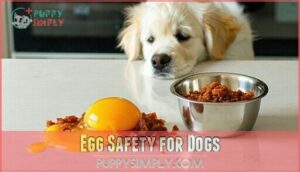 egg safety for dogs