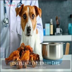 emergency veterinary care