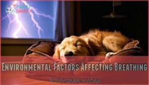 environmental factors affecting breathing