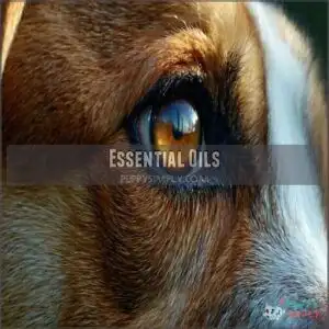 essential oils essential oils