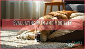 evaluating pain and mobility