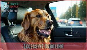 excessive drooling