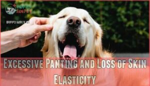 excessive panting and loss of skin elasticity