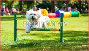 exercise and activity
