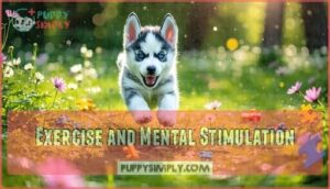 exercise and mental stimulation