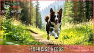 exercise needs
