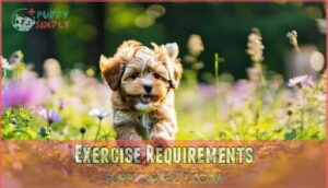exercise requirements