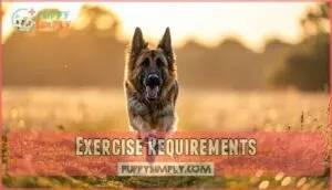 exercise requirements