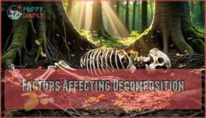 factors affecting decomposition