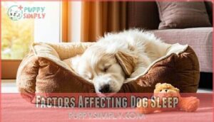 factors affecting dog sleep