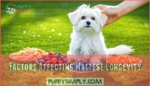 factors affecting maltese longevity
