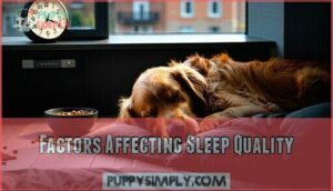 factors affecting sleep quality