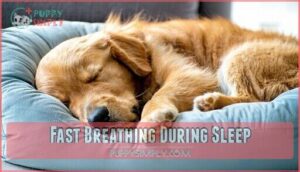fast breathing during sleep