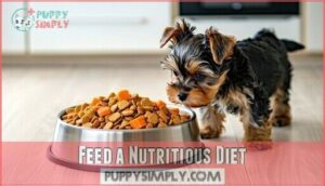 feed a nutritious diet