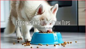 feeding and nutrition tips