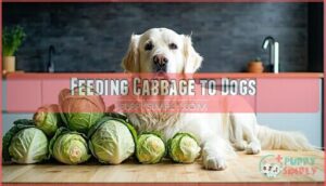 feeding cabbage to dogs