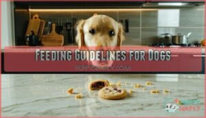 feeding guidelines for dogs