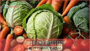 fiber and digestion fiber and digestion