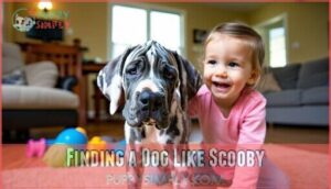 finding a dog like scooby