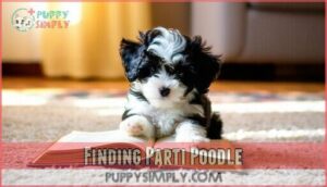 finding parti poodle