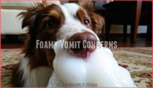 foamy vomit concerns
