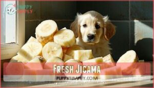 fresh jicama