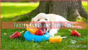 frozen kongs and toppl toys