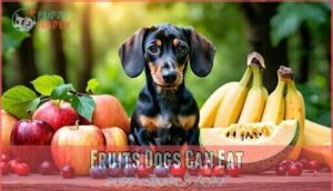 fruits dogs can eat fruits dogs can eat
