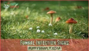 fungal infection signs