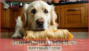 garlic toxicity and dog health