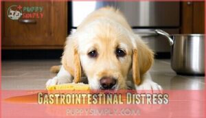 gastrointestinal distress
