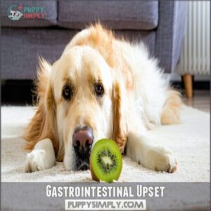 gastrointestinal upset