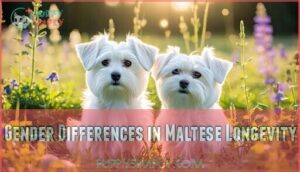 gender differences in maltese longevity