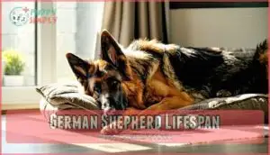 german shepherd lifespan
